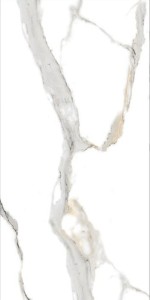 8976.jpg