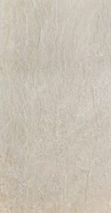 DESERT BEIGE.jpg