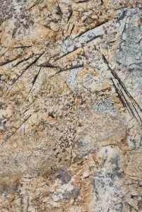 Granit Brazylijski  Voragem Gold 2cm Poler - Slab
