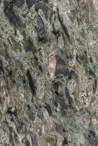 Granit Brazylijski  Verde Floresta 2cm Poler - Slab