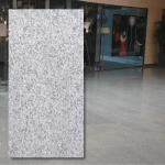 Granitplatta G603 New, polerad ljusgrå 30,5x61x1 cm