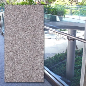 Granitplatta G664 Brun, flammad 40x60x2 cm