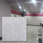 G603 granitplatta flammad ljusgrå 60×60×3 cm (Förhandsbeställning)
