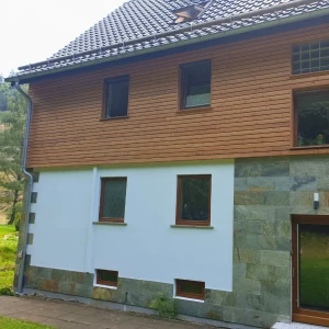 Kamień elewacyjny-dekoracyjny kwarcytowy Silver Shine 30x60 5