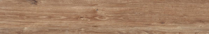jpg (2).png