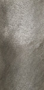 20190823_130554.jpg