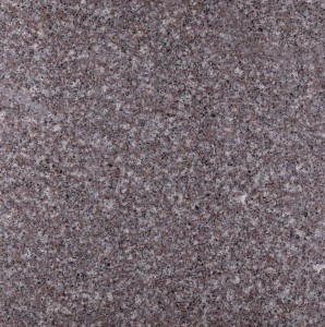 g664 poler.jpg