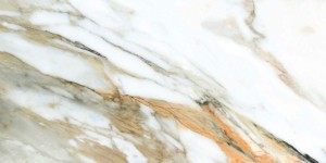 calacatta gold 3.JPG