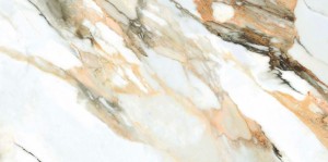 calacatta gold 11.JPG