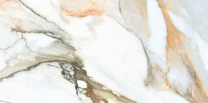 calacatta gold.JPG