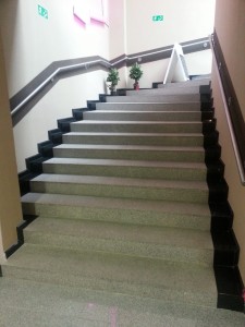 Tiles granite steps top flamed Cristal  Grey .jpg